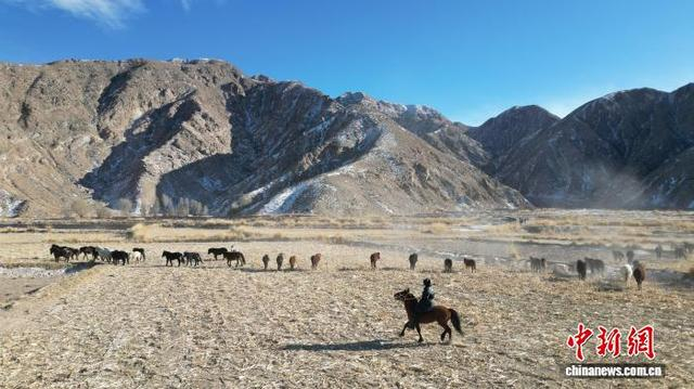 图为2026年1月6日，航拍其乌抠在山脚下牧马。(无人机照片)中新社记者 李亚龙 摄