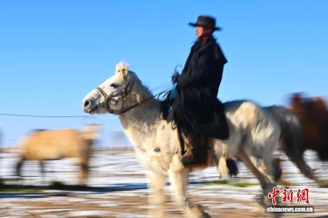 图为2026年1月5日，新军在自己的牧场牧马。中新社记者 李亚龙 摄