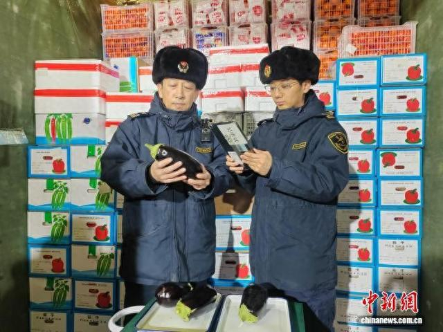 海关关员对出口果蔬实施查验。 哈尔滨海关供图