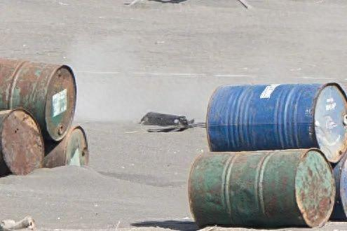 台军演练劲蜂一型攻击无人机