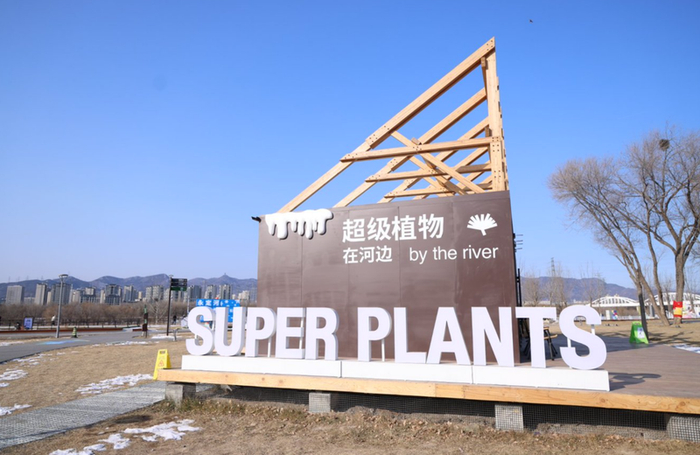 “永定河集”。主办方供图