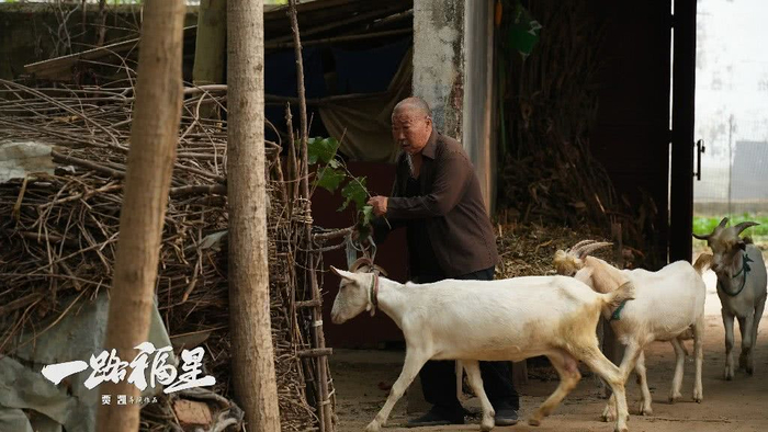 从网剧到院线90后导演贾凯拍出了真实的“人间烟火”