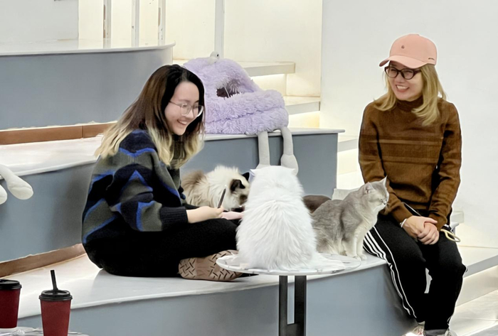 2026年1月20日，在北京五棵松万达广场暖宠家店铺里，消费者正与宠物猫互动。新华网 韩攀 摄