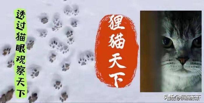 他们的故事还在继续，就像一条奔流的河，带着过往的全部经历，坚定地向着未来而去。这让人不禁想起那句话：世间所有的相遇，都是久别重逢；而所有漫长的等待，或许都是为了最终能并肩看那更远的风景。