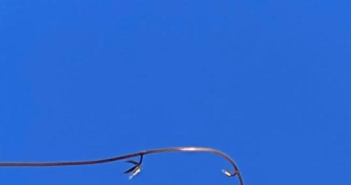 没人给我打伞，我就要在雨里哭到死吗？～91.8美图秀