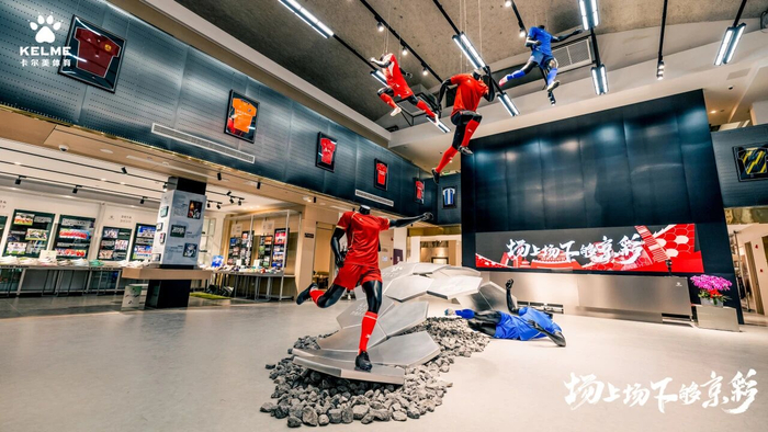 图片来源：卡尔美公众号