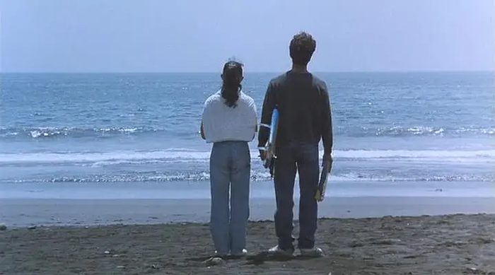 上：《绿草地》，下：《那年夏天，宁静的海》