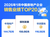 房企开年排位生变：“保中华”格局延续，最大黑马竟是它？