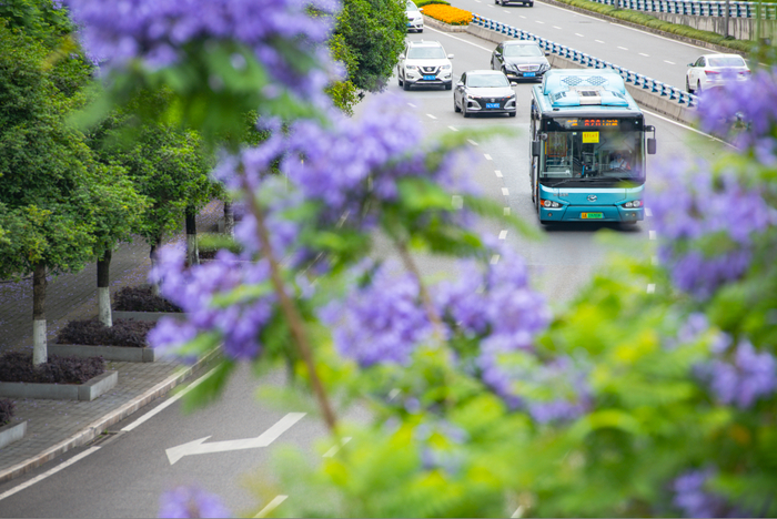 今年中心城区将新增优化公交线路100条以上。受访者供图