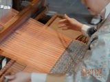 杨澜张尕怂合作完成非遗编织挑战