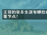 王菲的音乐生涯有哪些重要节点？_明星百科-巴比娱