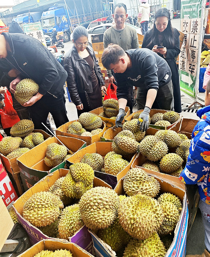    ▲市民在广西海吉星水果批发市场选购榴莲。
