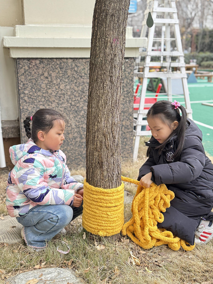 给大树穿“冬衣”，萌娃护绿暖初冬