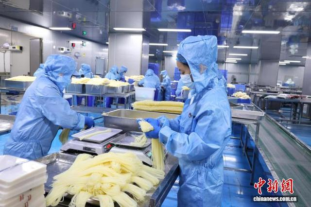 图为冰鲜款米粉采用的是柳州本地传统的半湿米粉，口感更接近实体店现煮的米粉。林馨 摄