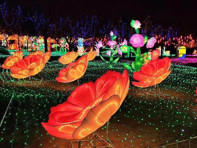第三届顺义文旅集团鲜花港彩灯大世界将于2月17日（正月初一）至3月8日（正月二十）开放。受访者供图