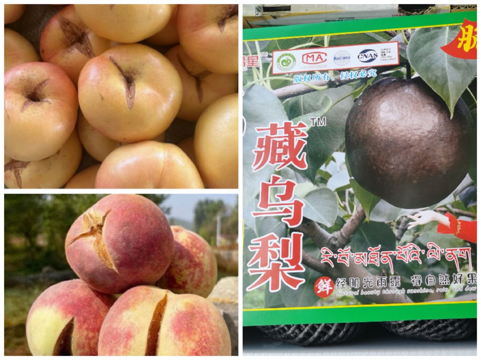 “藏乌梨”与“爆炸桃”。 平台店铺截图
