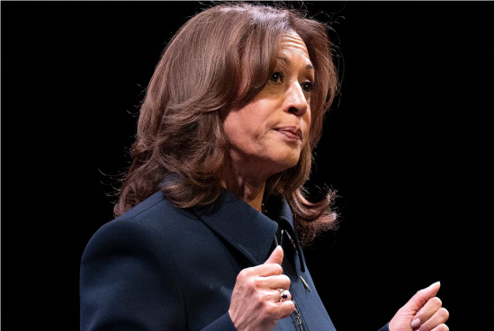 美国前副总统哈里斯 资料图 图源：美媒