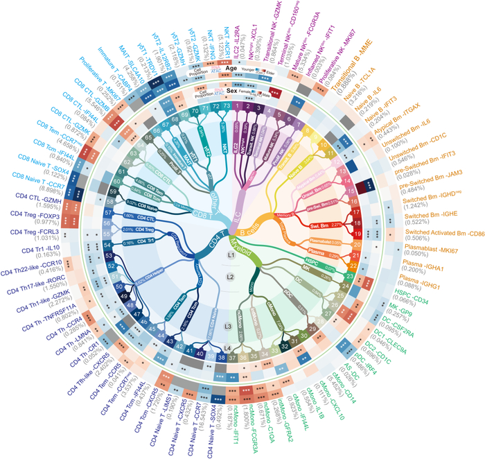 CIMA免疫细胞亚型。图片由受访单位提供