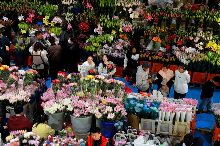 2月1日，人們在昆明的斗南花卉市場內(nèi)選購鮮花。新華社發(fā)（鄭益 攝）