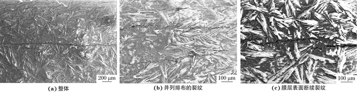 企业短视频seo系统