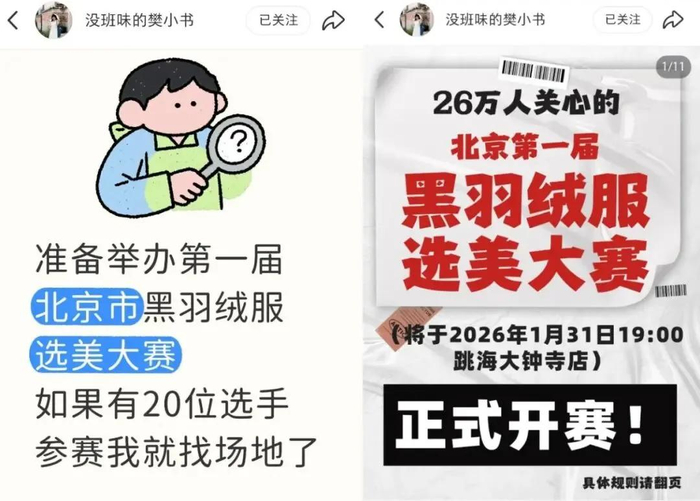 樊小书发布的招募帖。（图/社交平台截图）