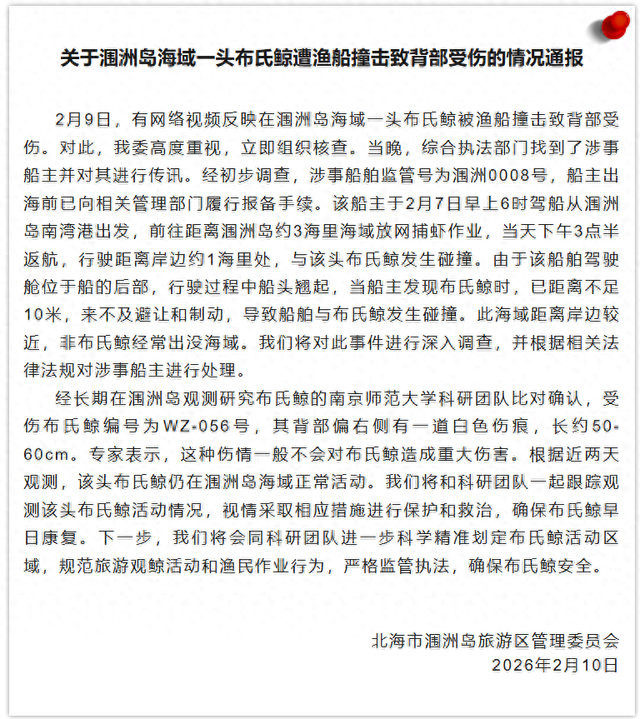 微信公众号“涠洲岛旅游区管委会”截图 