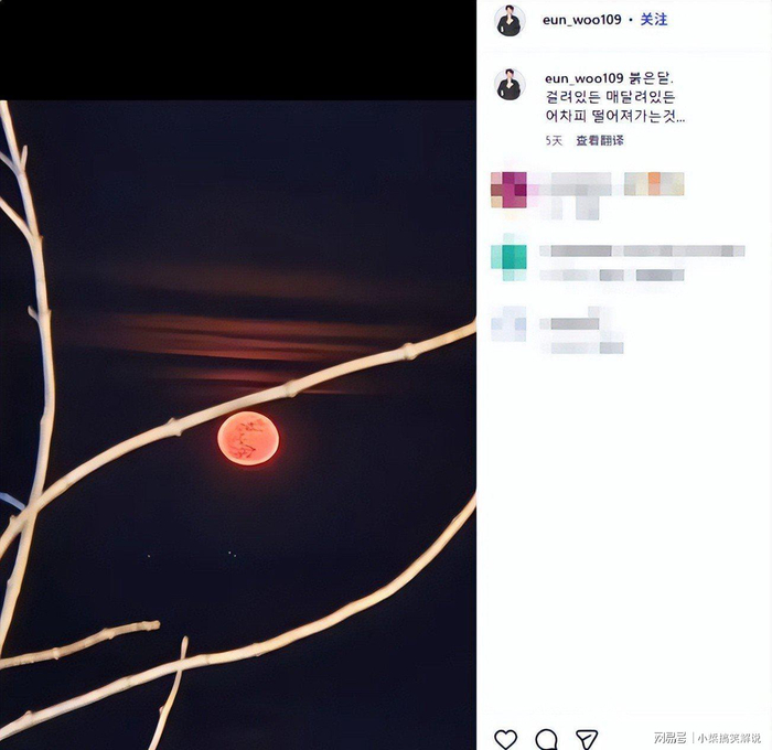 打开网易新闻 查看精彩图片