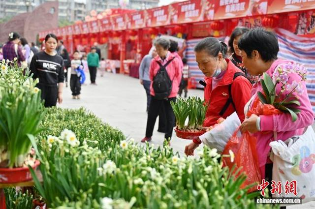 图为市民在海丝城黄埔公园花市选购水仙花。中新社记者 陈楚红 摄 