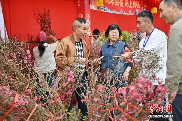 图为市民在海丝城黄埔公园花市选购桃花。中新社记者 陈楚红 摄 