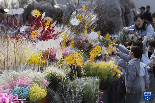 2月11日，在香港维多利亚公园，小朋友在欣赏年花。新华社发（王申 摄）