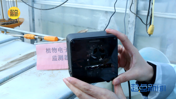 植物电子鼻检测器