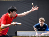 樊振东、林高远、温瑞博等中国选手本赛季在欧洲乒乓球联赛中的整体表现如何？