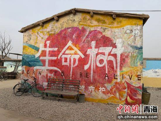 图为《生命树》取景地。董玲 摄