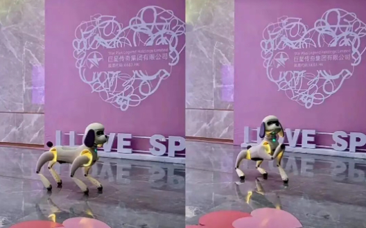 周同学×宇树科技