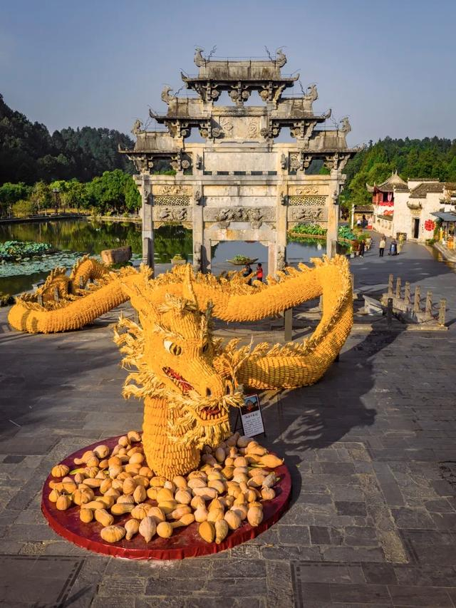 西递古村玉米龙。黟宣 供图