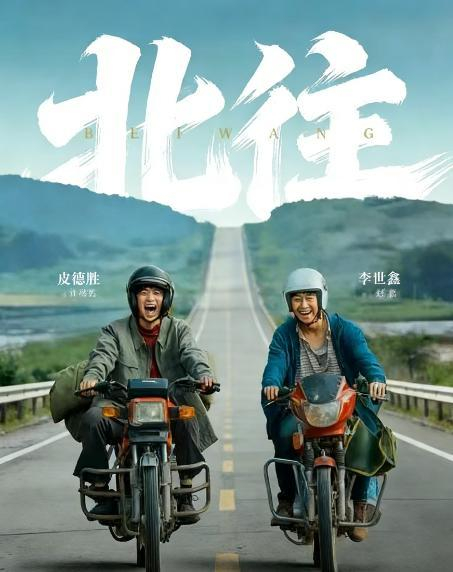 返乡题材短剧黑马《北往》海报