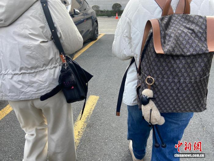 (新春走基层)年轻人过年装备新选择:包挂成“情绪搭子”__财经头条__新浪财经