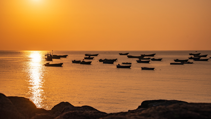 打开网易新闻 查看精彩图片