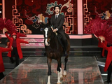 于适春晚骑马创历史！辽宁卫视真马首秀点燃马年豪情