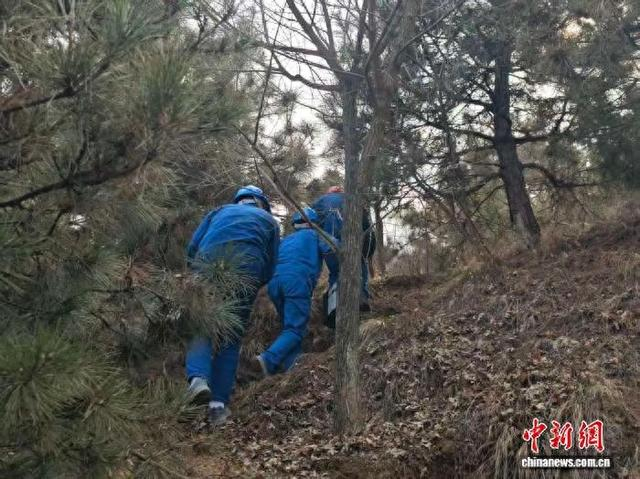 图为屈阳和两位同事在秦岭山中巡线。 阿琳娜 摄