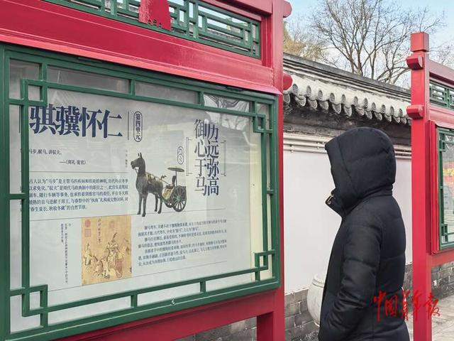 2月14日，北京鼓楼，一位游客正在观看马主题的展览之“骐骥怀仁”单元。中青报·中青网记者 陈剑/摄
