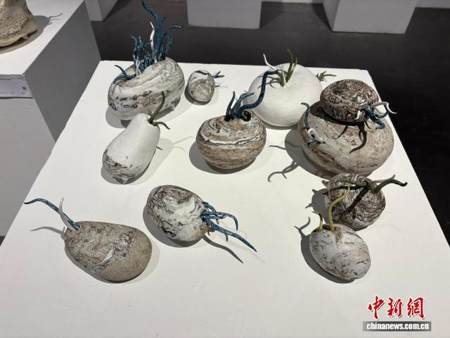 2月5日，台青苏萱瑄的陶艺作品正在景德镇陶溪川文创街区内展出。 中新社记者 李韵涵 摄