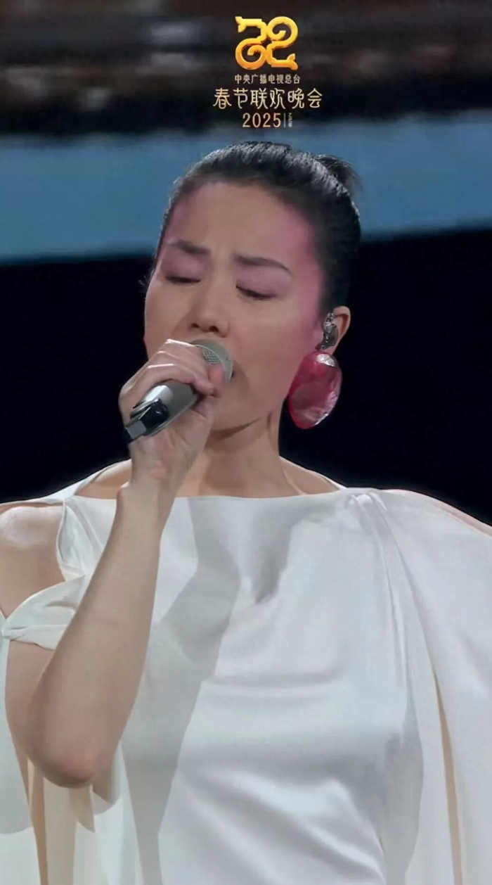 蛇年春晚，王菲登台演唱，佩戴的耳环引发关注。图/央视一套