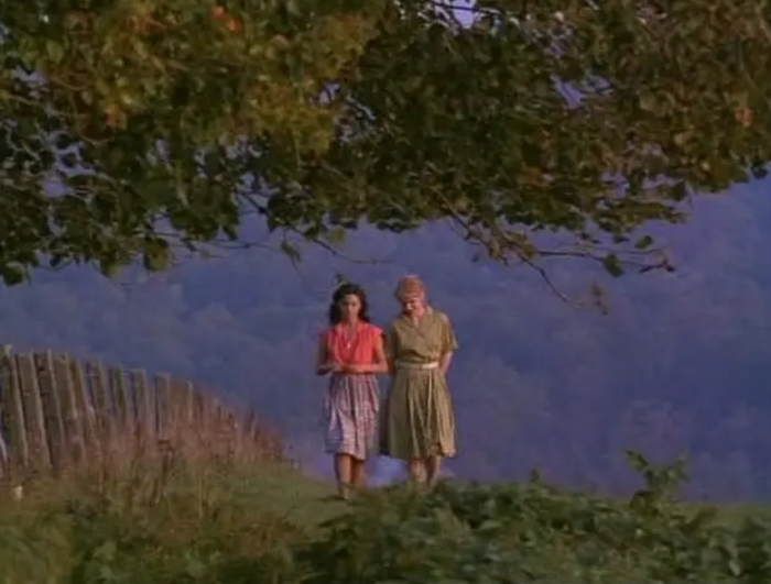     打开网易新闻 查看精彩图片    