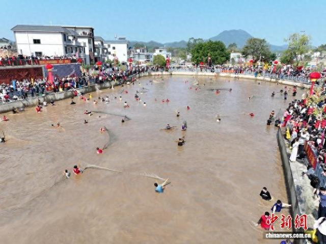 活动现场。 杨坚 摄