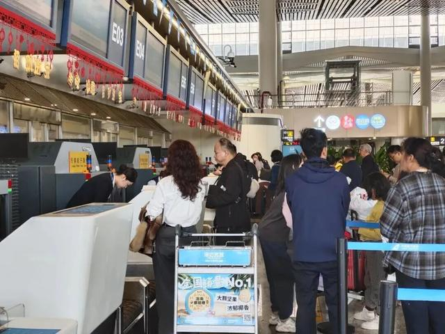 海南日报全媒体记者邓海宁 摄