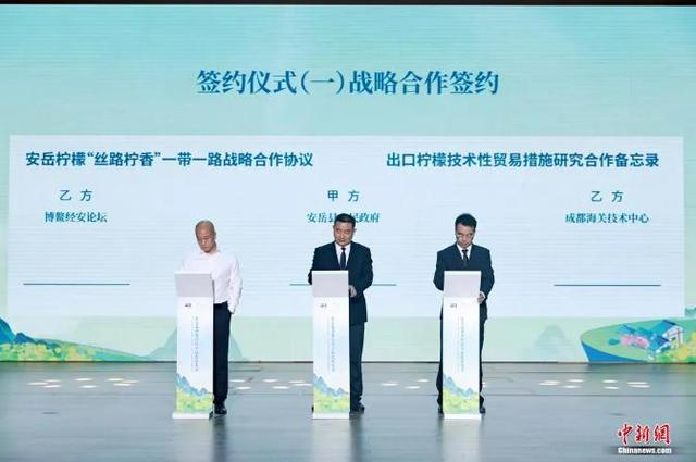 战略合作签约。安岳县委宣传部供图