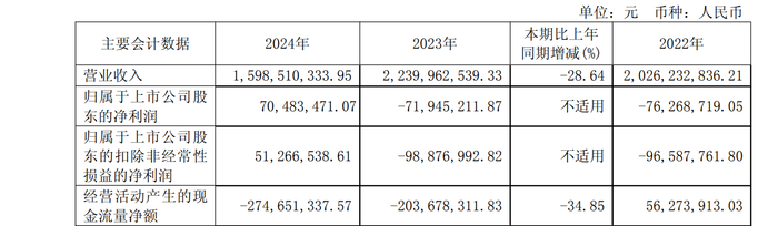 图/江苏吴中2024年年报截图