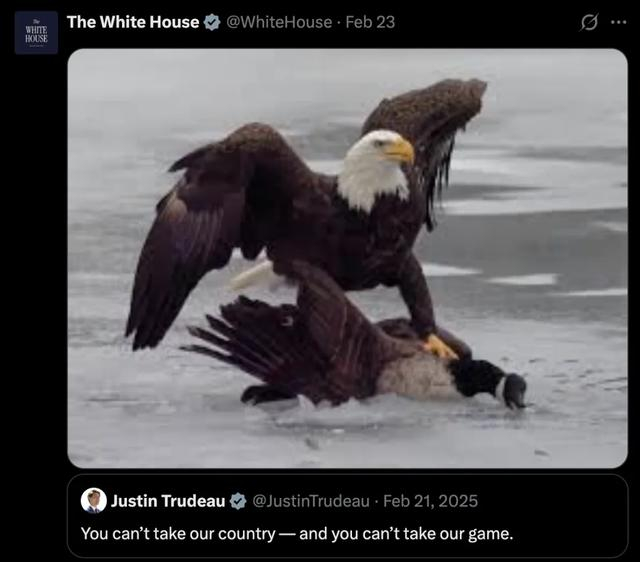 图源：白宫社交媒体截图