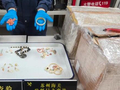 苏州海关查获34件濒危动物制品 总重284克